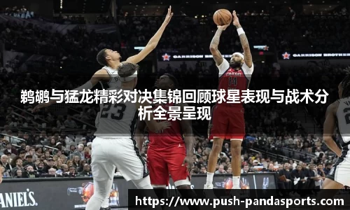 鹈鹕与猛龙精彩对决集锦回顾球星表现与战术分析全景呈现